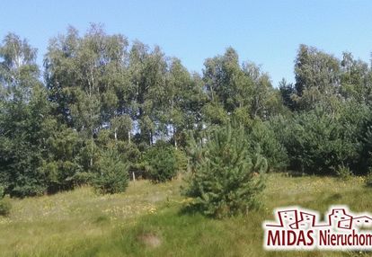 Działka 2692m2 w otoczeniu lasu , blisko jeziora!