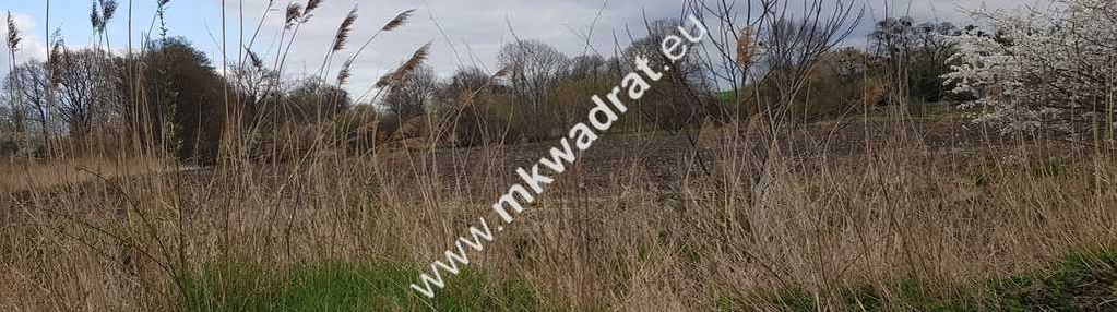 Okazja działki leszno k/błonia