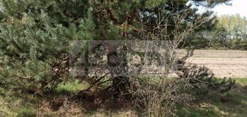 Działka z dostępem do rzeki w broku