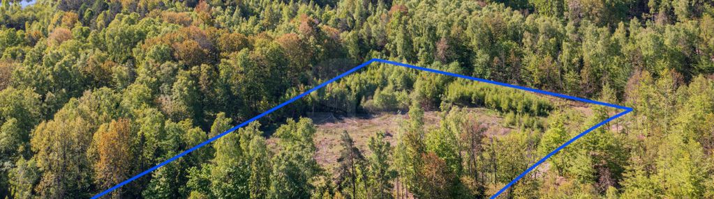 Przepiękna działka otoczona lasem.