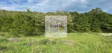 Sprzedaż działka rolna w czermnicy, gmina nowogard