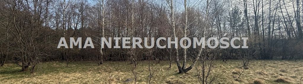 Działka o wielu mozliwościach w otulinie lasów