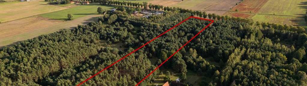 Działka w trakcie uzyskiwania wz