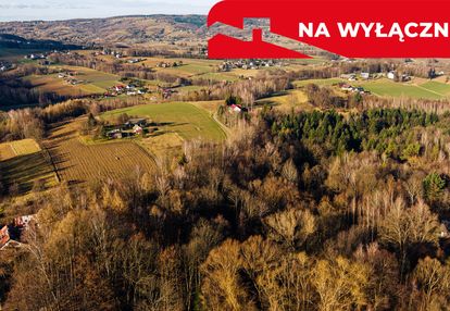 Działka leśna tuchów