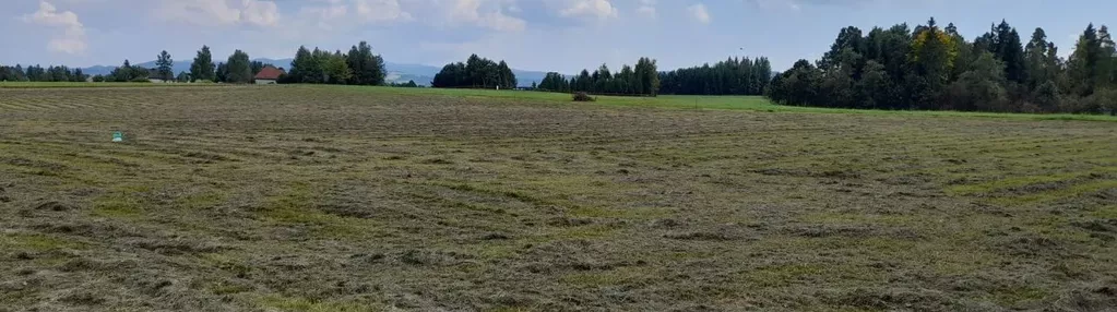 Działka na sprzedaż 3000m2