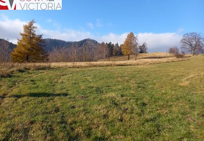 Widokowa działka w jedlinie zdrój