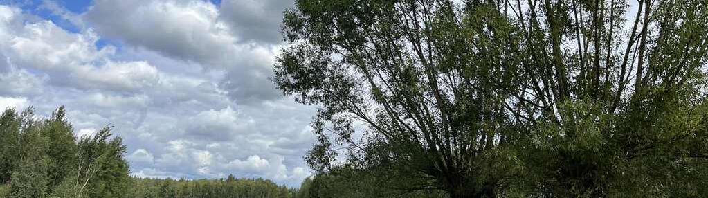 Działka siedliskowa