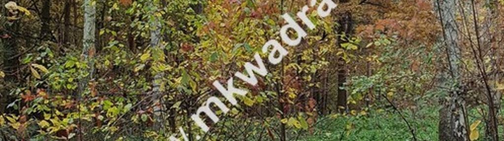 ⭐⭐⭐⭐ działka budowlano-leśna z m-p-z-p ⭐⭐⭐⭐