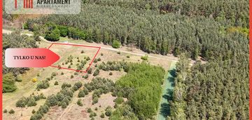 Działka w środku lasu