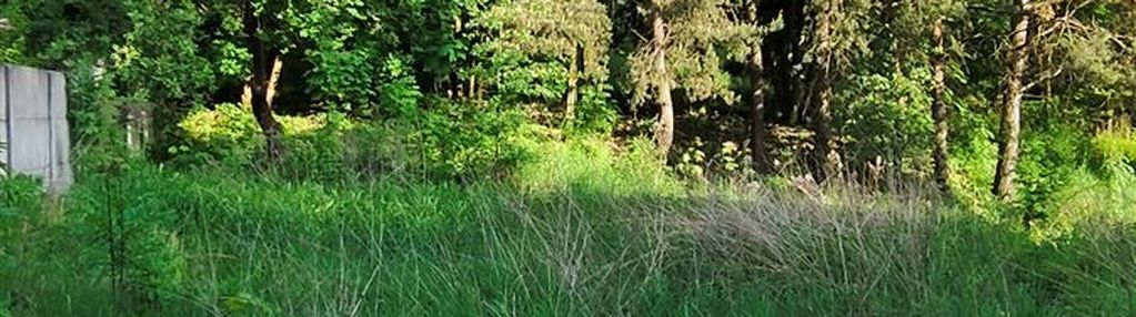 Krowodrza bielany -duża działka