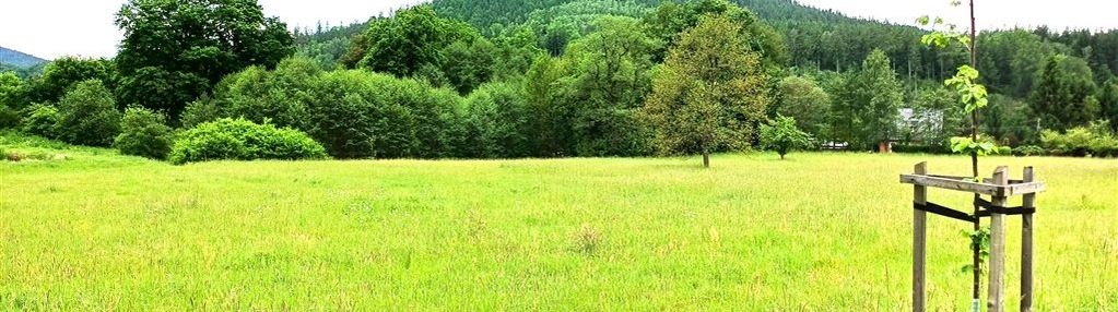 Działka budowlana trzcińsko z warunkami zabudowy