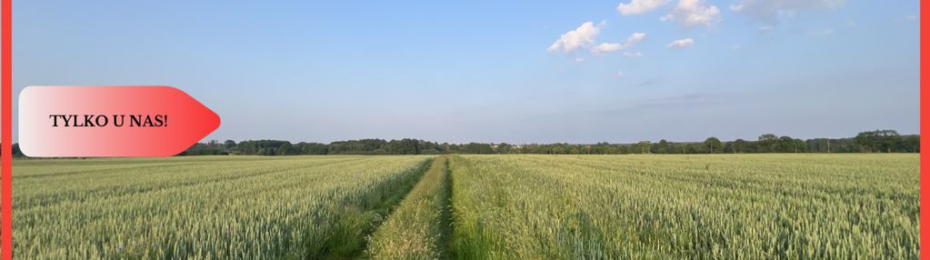 Piękne działki budowlane pod bolesławcem! kruszyn