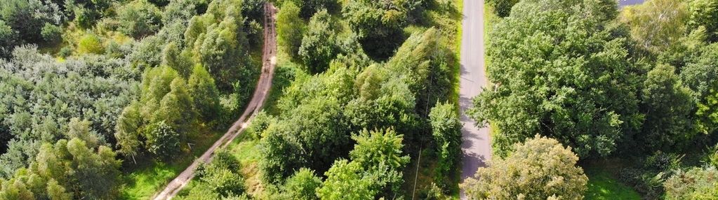 W zaciszu drzew -działka z wz | warmia | lubianka