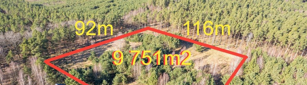 Działka inwestycyjna | sasino | las widok na morze