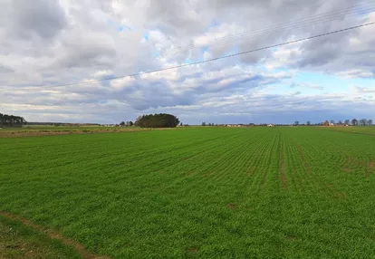 Działka na sprzedaż 5700m2