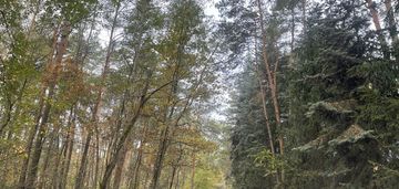 Zbuduj dom w lesie – działka 1850 m².