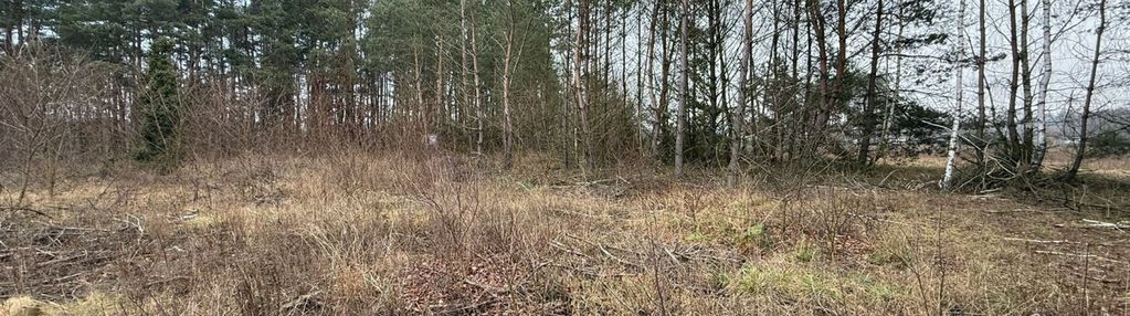 Działka budowlana w bardzo atrakcyjnej cenie.