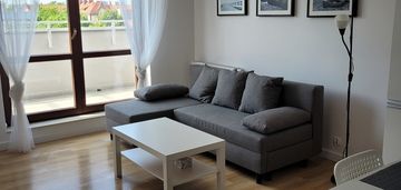 Nowe miasto / apartament na wynajem