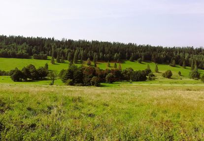 Działka z widokiem na góry blisko czarnej góry