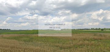 Kinetyczna, okęcie, pod logistykę, magazyn!