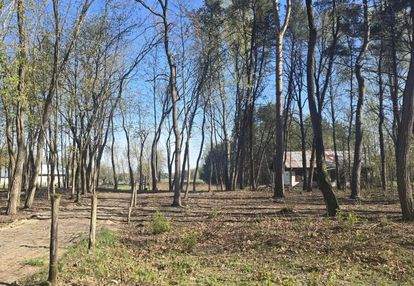 Idealna pod inwestycję – działka 4500 m² z wz