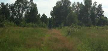 Malownicze 3000m2 pod żabią wolą