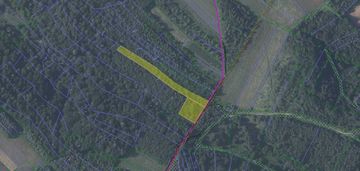 Las nienadowa 44ar woj. podkarpackie