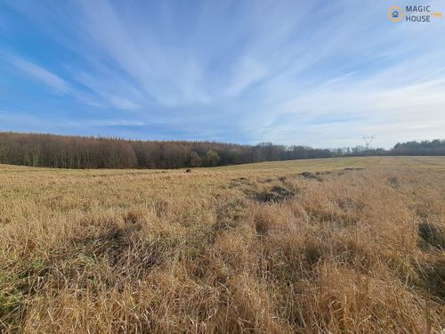 Wyjątkowy teren 3,85 ha | trąbki małe