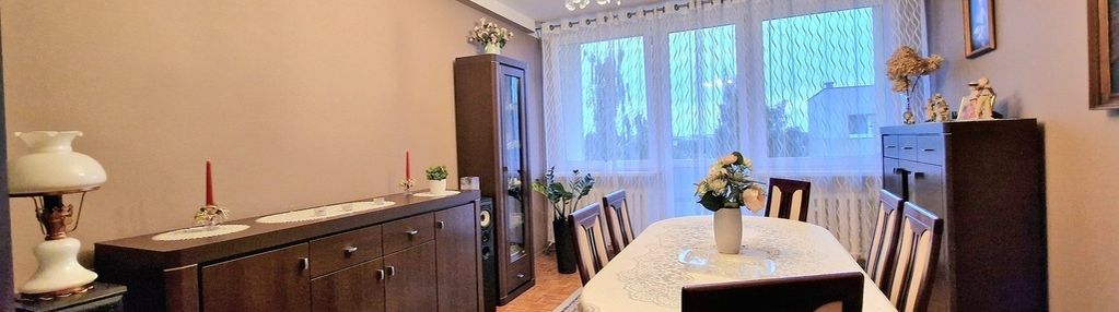 Mieszkanie do wprowadzenia / z widokiem