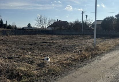 Sprzedaż w ciemnym działki budowlanej