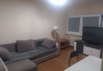 Do wynajęcia mieszkanie 2-pokojowe na Teofilowie