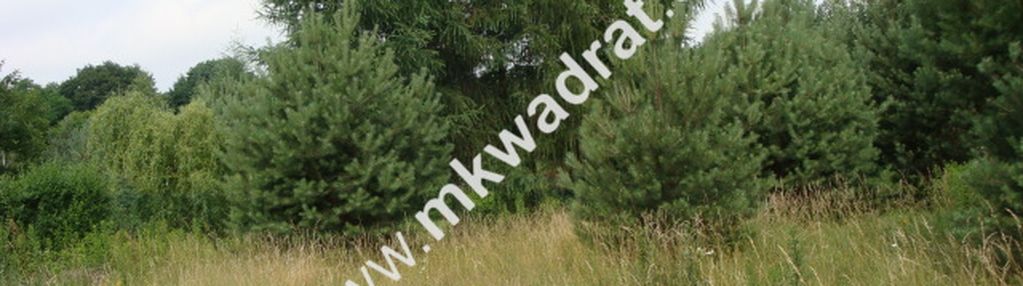 Grzegorzewice działka 2163m2