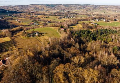 Działka leśna  49,99 ar tuchów