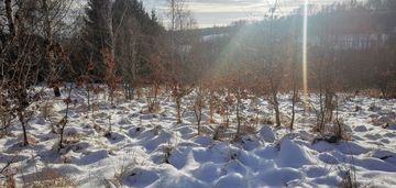 6 km od wieliczki, 3 malownicze działki budowlane