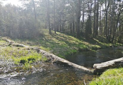 Działka budowlana nad rzeką: linia brzegowa las wz