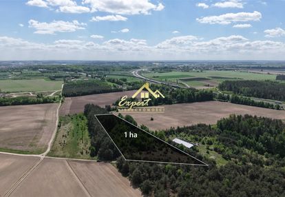Działka inwestycyjna z mpzp | 1 ha