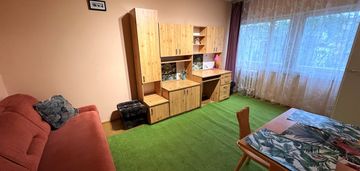 Kawalerka koziny blisko manufaktury