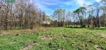Doświadczaj beskidów - 60 arów naturalnej wolności