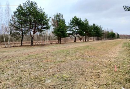 Działka budowlana przy lesie