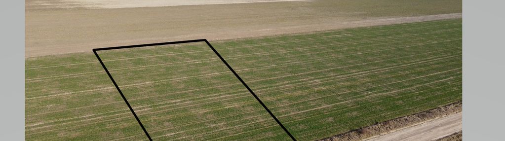 Na sprzedaż działka budowlana 1516 m² – czuryły