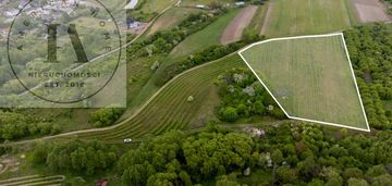 Zainwestuj w przyszłość –tolkmicko 1,47 ha