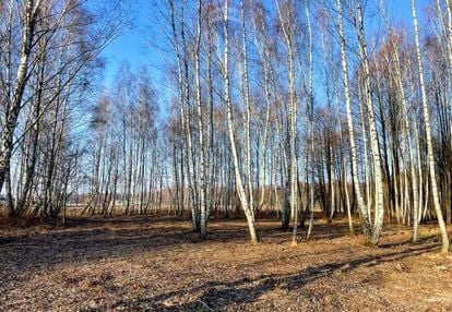 Działka budowlana 2324 m2 bieganów gm. jaktorów