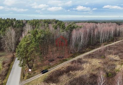 Działki budowlane przy lesie - czarna sędziszowska