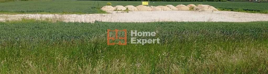 Szewce działka 6 600 m2 /inwestycja