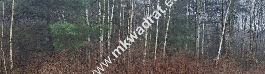 Działka w dobrej lokalizacji przy lesie