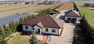 Dom z plantacją borówki – kolonia domaszewnica