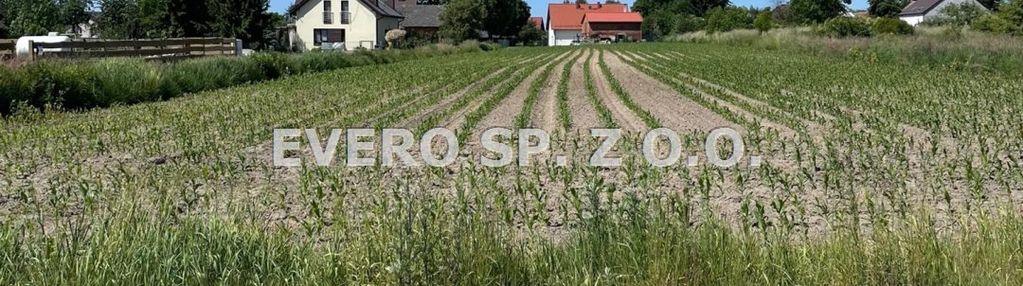 Zabudowa jednorodzinna i dwulokalowa, oleśniczka