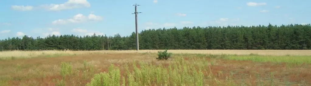 Działka na sprzedaż 3000m2