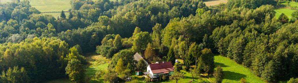 Na sprzedaż działka z domem w lichwinie