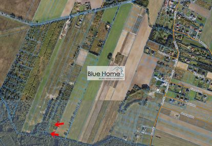 Interesująca oferta gruntu z linią lasu